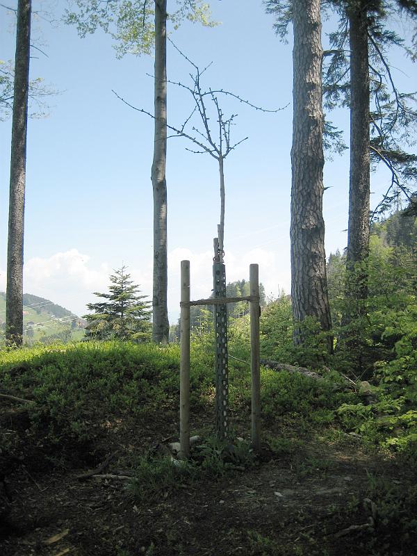 2010 05 23 A